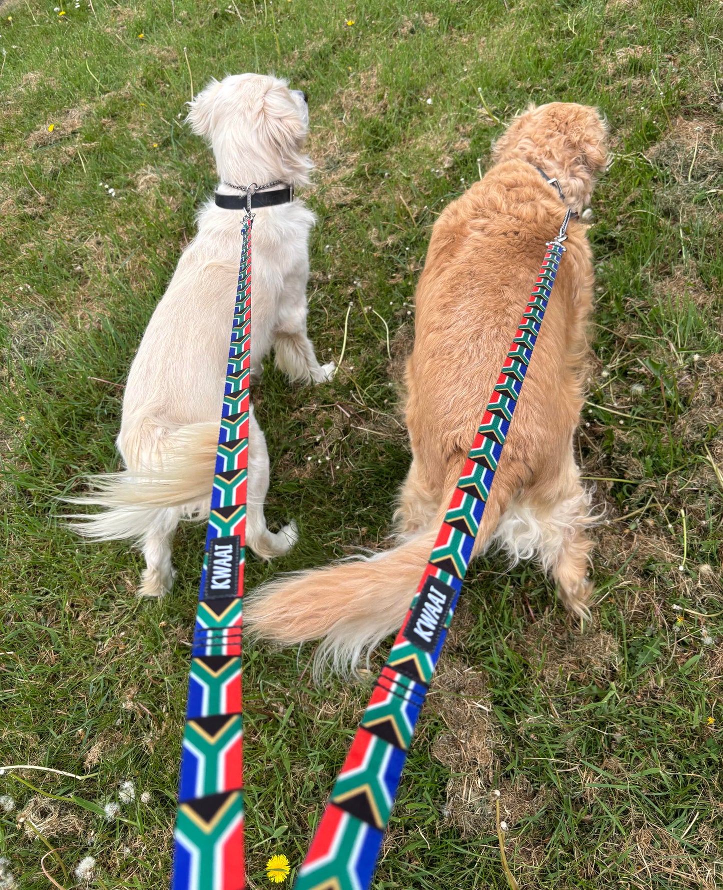 1.2m Dog Lead