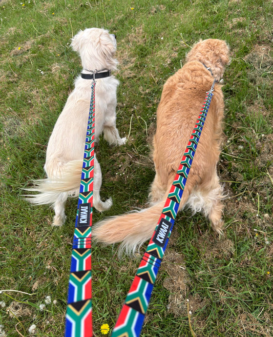 1.2m Dog Lead